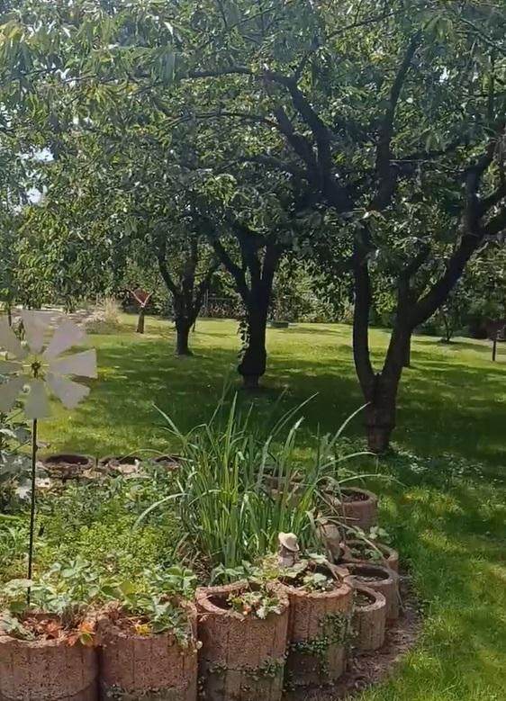 1718836500921005840.jpg 微信图片_20240620063315.jpg